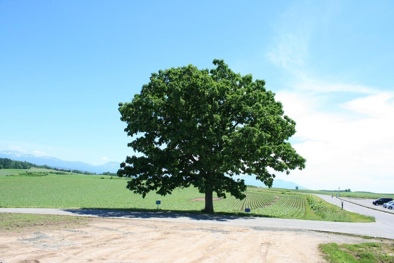 In Yamabe * Nakafurano